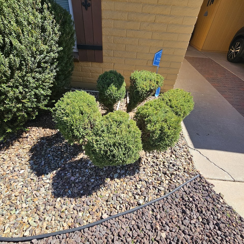 Desert Sunset Landscaping and Property Maintenance project